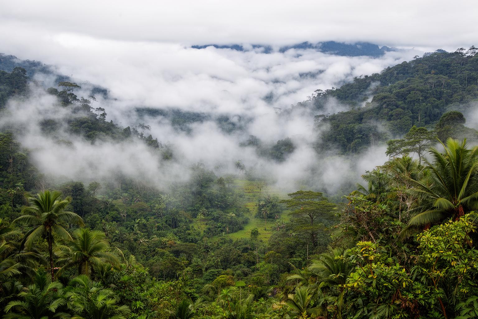 kiri-ni-tsutsumareta-kumogirin-no-rakuen-puertokito-e