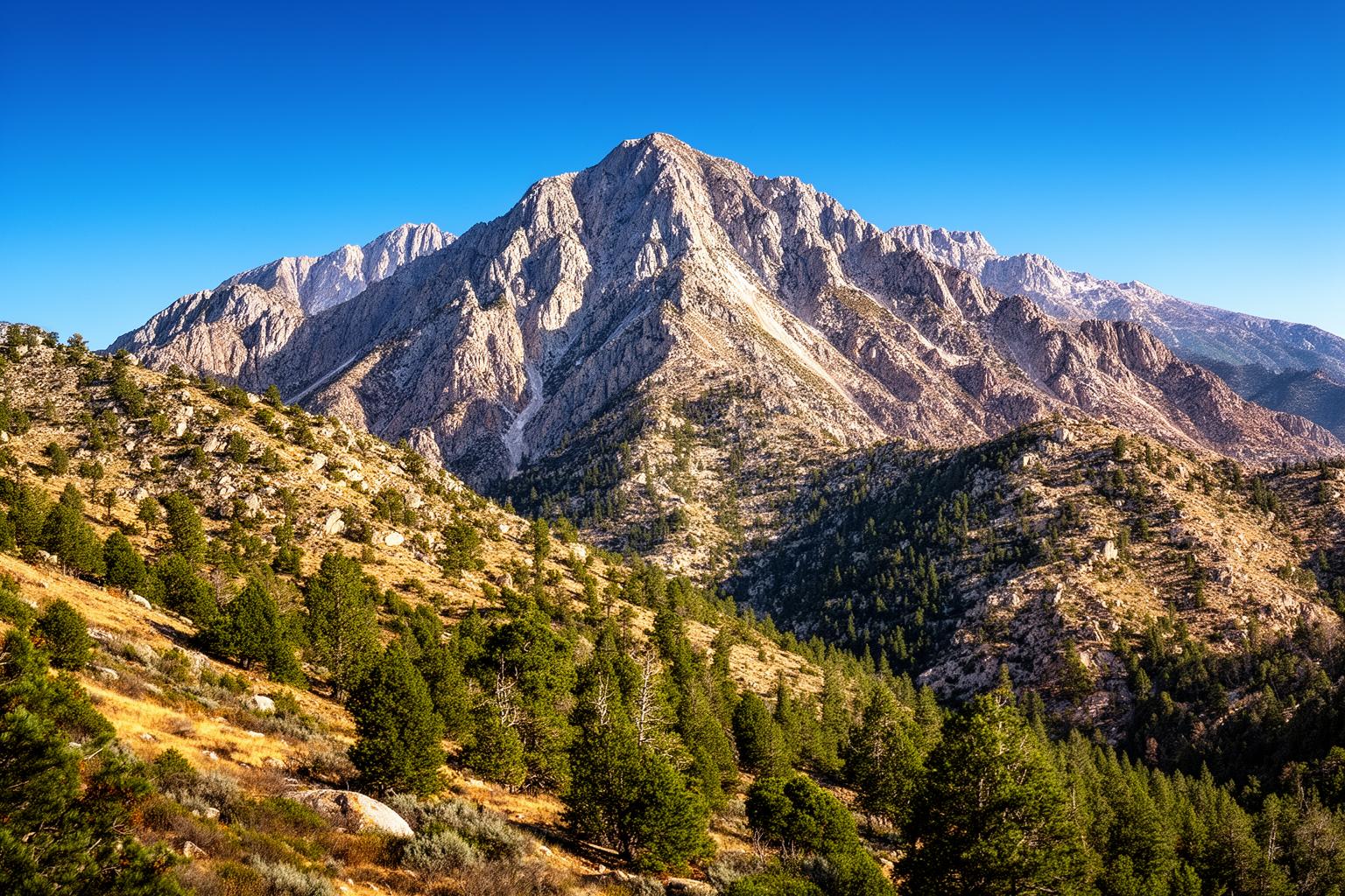 san-jacinto-ga-watashitachi-ni-oshietekurerukoto