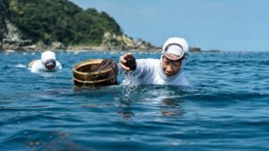 志摩で海女の息づく海へ。海の恵みと祈りに触れる、静かな旅