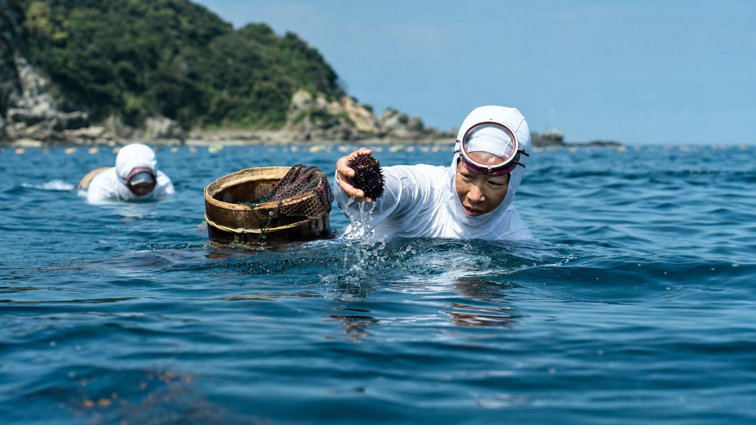 志摩で海女の息づく海へ。海の恵みと祈りに触れる、静かな旅